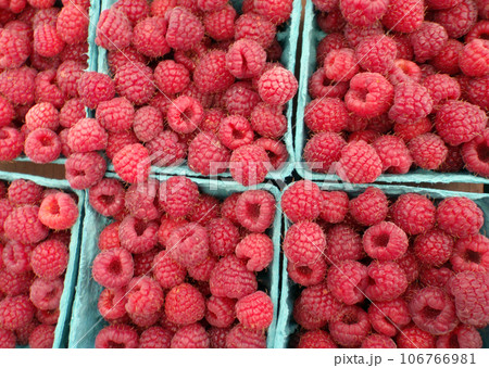 Rashberries in blue boxes Rashberries in blue boxes 106766981