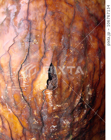 Rusted Metal cracks and bleeds colors from exposure to salt air 106767134