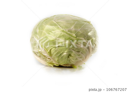 cabbage close-up isolated on white background 106767207