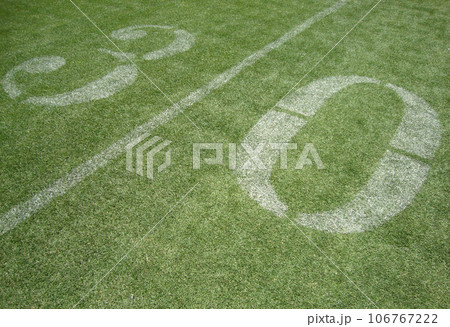 30 yard line 106767222