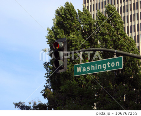 San Francisco Parrots hangout on Streetlight fixture San Francisco Parrots hangout on Streetlight fixture 106767255