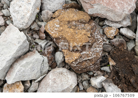 Oil shale stone, background. Sedimentary rocks rich in kerogen. The shale mining site, Aidu quarry in Estonia Oil shale stone, background. Sedimentary rocks rich in kerogen. The shale mining site, Aidu quarry in Estonia 106767509