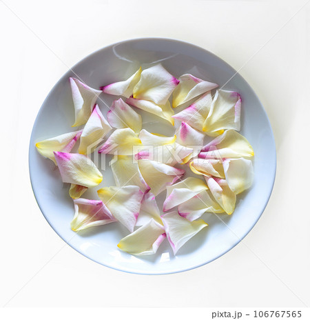 Beautiful leaves of a roses on a ceramic plate Beautiful leaves of a roses on a ceramic plate 106767565