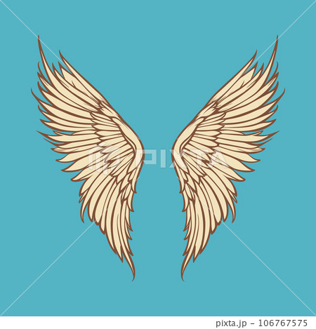 Vector Wings Icon. Vintage Angel Wings Icon, Design Template, Clipart. Cupid, Angel or Bird Wings. Vector illustration 106767575