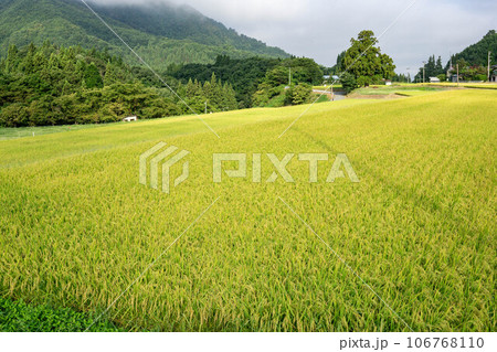 田んぼのある風景の写真素材 [106768110] - PIXTA