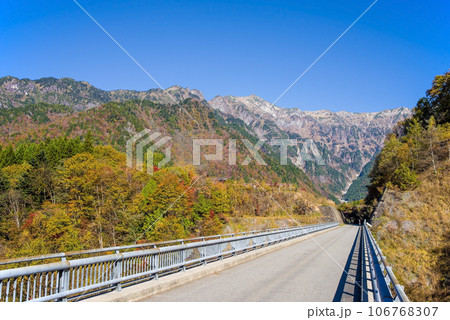 「北アルプス大橋」から見る北アルプスの紅葉 「北アルプス大橋」から見る北アルプスの紅葉 106768307