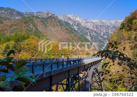 「北アルプス大橋」から見る北アルプスの紅葉 「北アルプス大橋」から見る北アルプスの紅葉 106768322