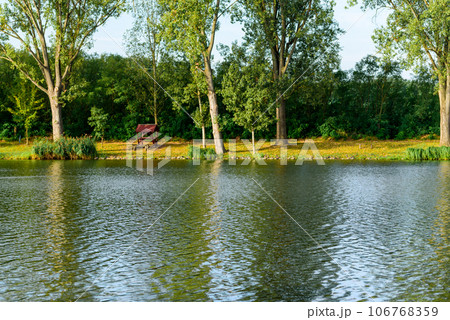 Beautiful summer landscape Beautiful summer landscape 106768359