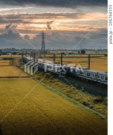 茨城県水戸市　秋の水田を往く常磐線 106768555