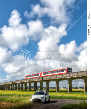 茨城県ひたちなか市　金色の野を往く大洗鹿島線 106768589