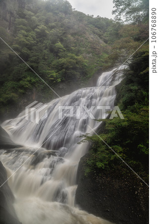茨城県大子町　台風の後の水量が増した袋田の滝 106768890