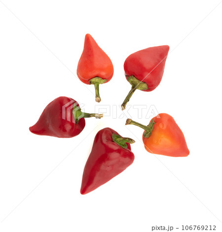 Top view of several pods of hot red pepper isolated on a white background. Top view of several pods of hot red pepper isolated on a white background. 106769212