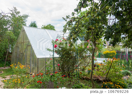 Garden with apple tree, flowers, rose garden and greenhouse. Garden with apple tree, flowers, rose garden and greenhouse. 106769226