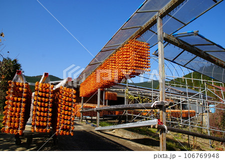 四郷の吊し柿 106769948