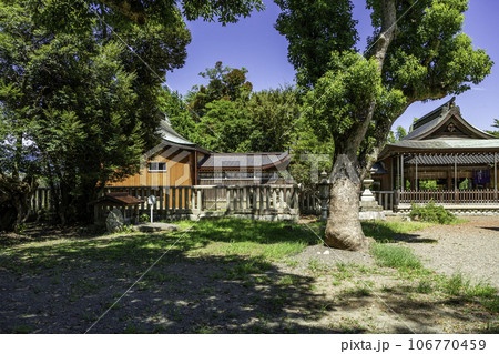 小浜城跡　小浜神社　社殿　福井県小浜市 106770459