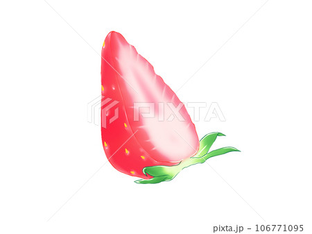 水彩風のいちごのイラスト横 106771095