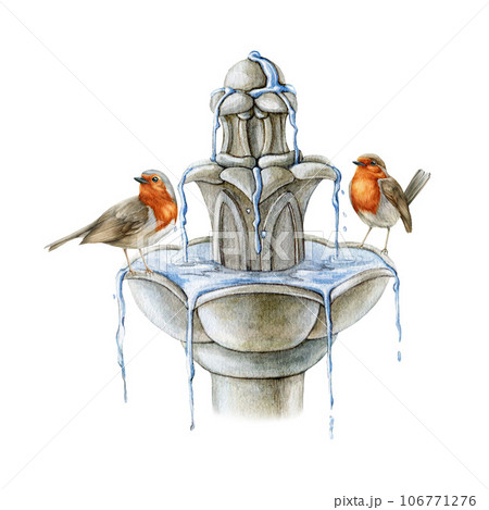 Couple of robin birds perched on a drinking fountain. Watercolor illustration. Hand drawn cozy decor element. Pair of robins on a garden decorative fountain. White background 106771276