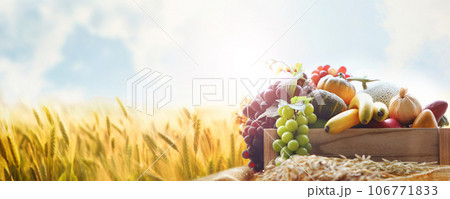 Rich Chuseok holiday and church Thanksgiving decoration with various crops, vegetables and fruits, and harvest season autumn ripe golden barley field farm landscape, banner and banner background Rich Chuseok holiday and church Thanksgiving decoration with various crops, vegetables and fruits, and harvest season autumn ripe golden barley field farm landscape, banner and banner background 106771833