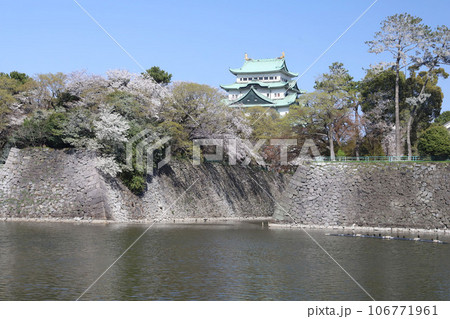 名古屋城 名城公園 桜 愛知県 名古屋城 名城公園 桜 愛知県 106771961