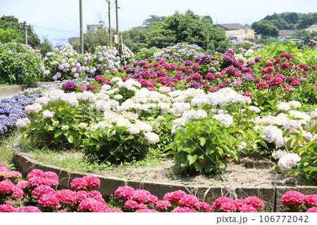 形原温泉　あじさいの里 106772042