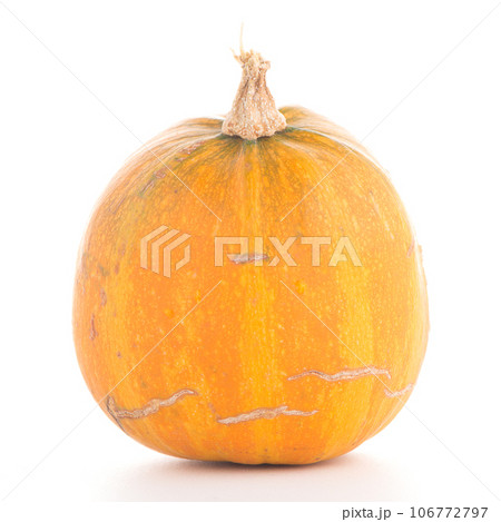 Pumpkin 106772797