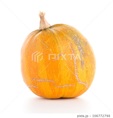 Pumpkin 106772798