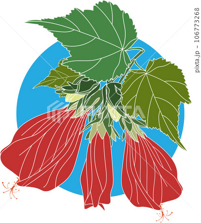 Illustration of Sleeping hibiscus, Wax Mallow flower with leaf on blue circle background. Illustration of Sleeping hibiscus, Wax Mallow flower with leaf on blue circle background. 106773268