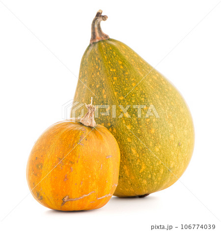 Pumpkins 106774039