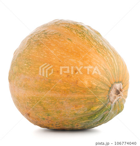 Pumpkin 106774040