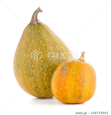 Pumpkins 106774041
