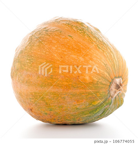 Pumpkin 106774055