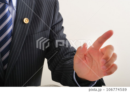 身振り手振りで話をする男性弁護士 身振り手振りで話をする男性弁護士 106774589