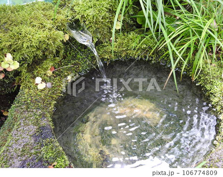 水面 苔 鉢 水面 苔 鉢 106774809