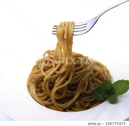 パスタ パスタ料理 ( ポモドーロ ) スパゲティー 白の皿 イタリア料理 パスタ パスタ料理 ( ポモドーロ ) スパゲティー 白の皿 イタリア料理 106775875