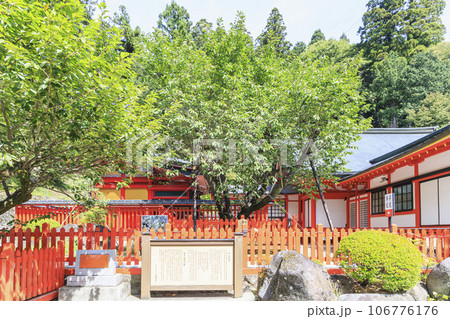 金桜神社　山梨　甲府　昇仙峡 106776176