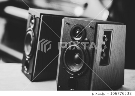 Bookshelf speaker, Home entertainment 106776338