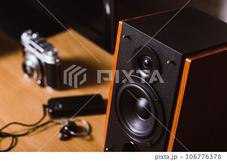 Bookshelf speaker, Home entertainment 106776378