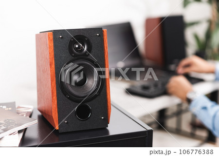 Bookshelf speaker, Home entertainment 106776388