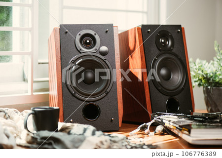 Bookshelf speaker, Home entertainment 106776389