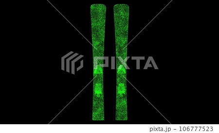 3D skiing on black background. Object made of shimmering particles. Sport Ski equipment concept. For title, text, presentation. 3d animation. 106777523