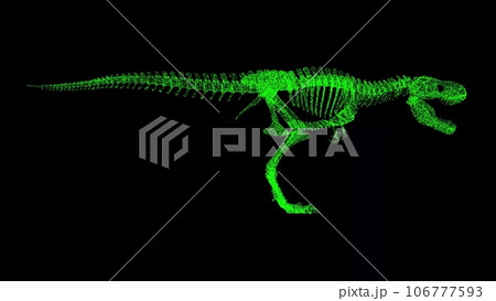 3D Tyrannosaurus rex skeleton on black bg. Object dissolved green flickering particles. Business advertising backdrop. Science concept. For title, text, presentation. 3D animation. 3D Tyrannosaurus rex skeleton on black bg. Object dissolved green flickering particles. Business advertising backdrop. Science concept. For title, text, presentation. 3D animation. 106777593