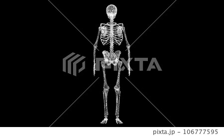 3D medical human anatomy. Object dissolved white flickering particles. Business advertising backdrop. Science medical concept. For title, text, presentation. 3D animation. 3D medical human anatomy. Object dissolved white flickering particles. Business advertising backdrop. Science medical concept. For title, text, presentation. 3D animation. 106777595
