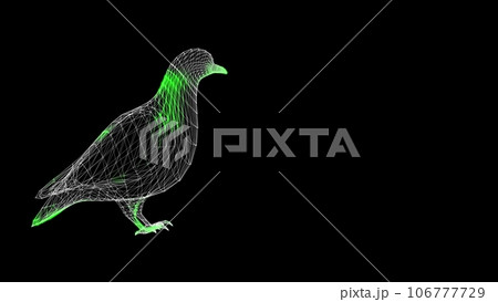 3D Dove with copy sopace on black bg. The bird pigeon is a symbol of peace and prosperity. The concept of forgiveness and love. For title, text, presentation. 3d animation. 3D Dove with copy sopace on black bg. The bird pigeon is a symbol of peace and prosperity. The concept of forgiveness and love. For title, text, presentation. 3d animation. 106777729