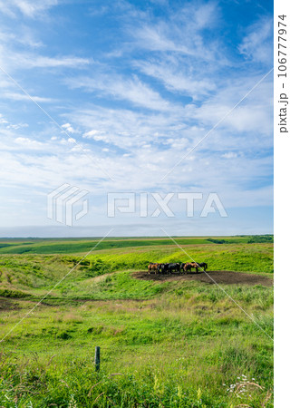 日本本土最東端　納沙布岬 106777974