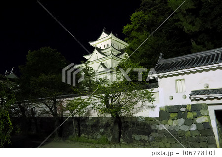 ライトアップされた大垣城 ライトアップされた大垣城 106778101
