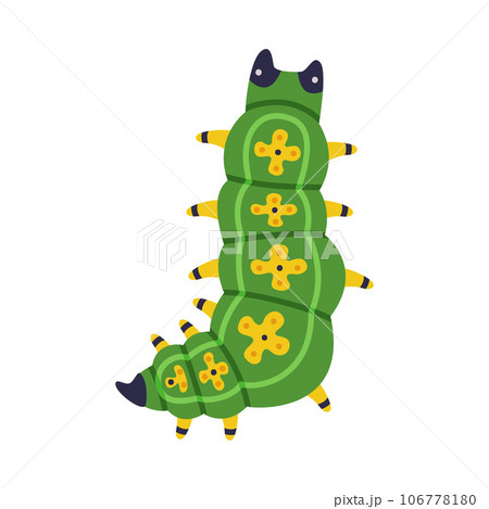 Bright Green Caterpillar as Larval Stage of Insect Crawling and Creeping Vector Illustration Bright Green Caterpillar as Larval Stage of Insect Crawling and Creeping Vector Illustration 106778180