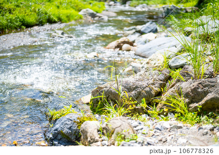きれいな清流 106778326