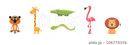 Funny African Animals and Zoo Fauna Vector Set Funny African Animals and Zoo Fauna Vector Set 106778356