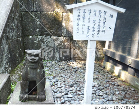 日光東照宮の叶う杉 106778574