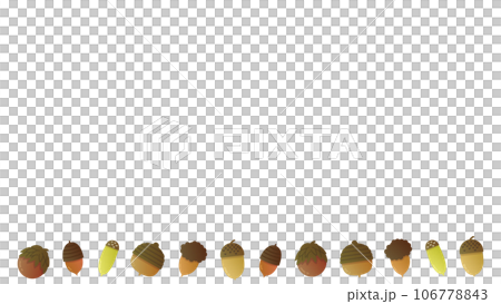 Background material with 6 types of acorns lined up Background material with 6 types of acorns lined up 106778843